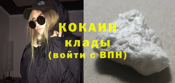 хмурый Верея
