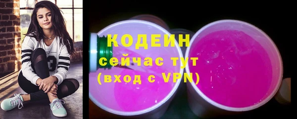 хмурый Верея