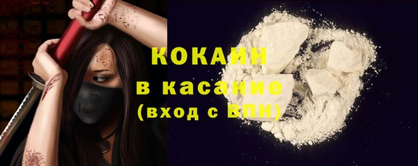 хмурый Верея