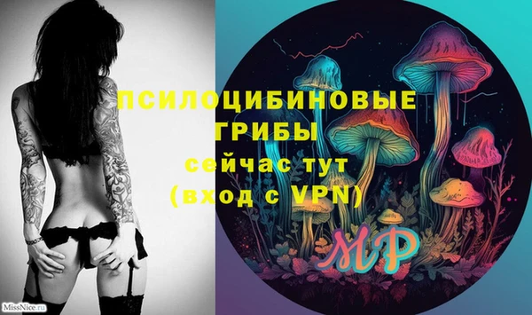 хмурый Верея