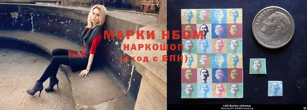 хмурый Верхний Тагил
