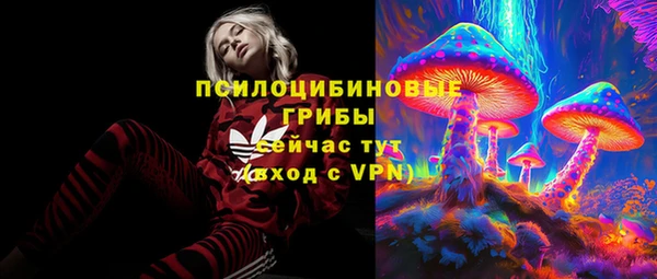 mdpv Бронницы
