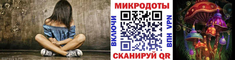 наркошоп  Любань  Галлюциногенные грибы Magic Shrooms 